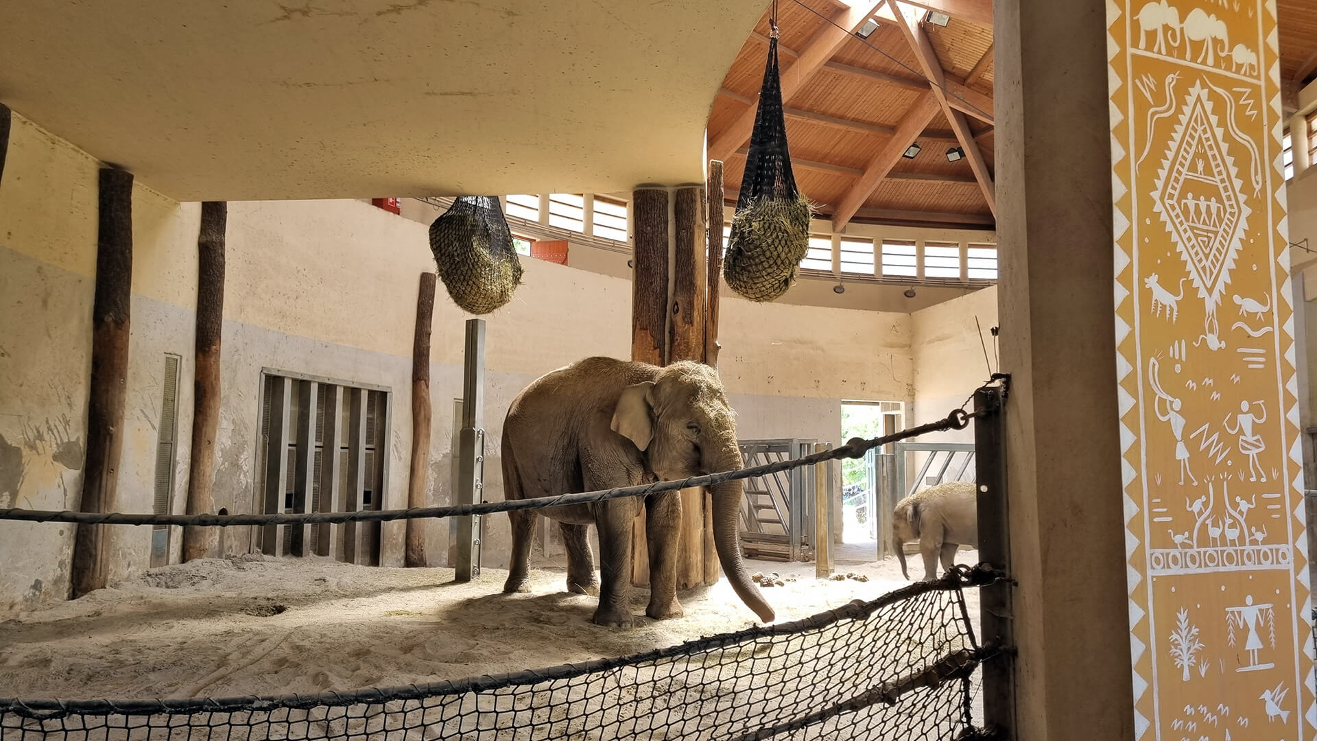 elephant in budapest zoo