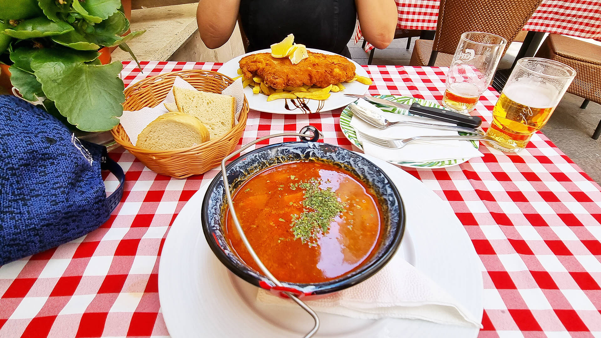 food tour - goulash soup and schnitzel in Budapest